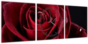 Obraz - Červená ruža (s hodinami) (90x30 cm)