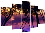 Obraz - Stromy pri západe slnka (150x105 cm)
