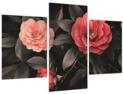 Obraz - Červené kvety na tmavom pozadí (90x60 cm)