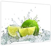 Obraz - Limetky (70x50 cm)