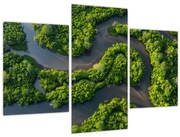 Obraz - Lesná krajina s riekou (90x60 cm)