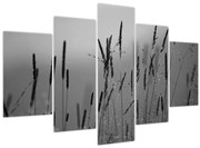 Obraz - Steblá trávy (150x105 cm)