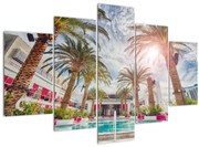 Obraz - palmy s bazénom (150x105 cm)
