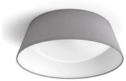 Philips - LED Stropné svietidlo DAWN LED/14W/230V šedá