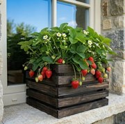 AMADEA Drevený obal s kvetináčom tmavý, 27x27x20cm