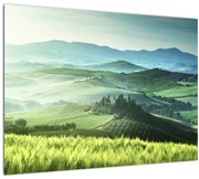 Obraz - Toskánsko, Taliansko (70x50 cm)