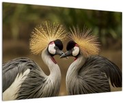 Obraz vtákov (90x60 cm)