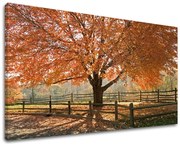 Obraz na stenu STROMY | rôzne rozmery