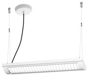 Ledvance - LED Stmievateľné závesné svietidlo OFFICE LINE 2xLED/12,5W/230V