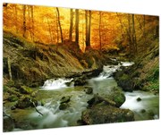 Obraz - Les (90x60 cm)