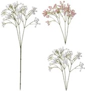 Lyszczec wiechowaty 68CM