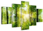 Obraz - Svitanie v lese (150x105 cm)