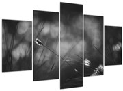 Obraz - Lúčna tráva (150x105 cm)