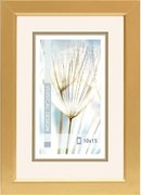 Fotorámik Giulia 10x15 cm, zlatý%