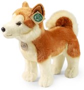 Rappa Plyšový pes Akita Inu 30 cm