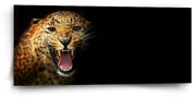 Sablio Obraz Gepard 2 - 110x50 cm