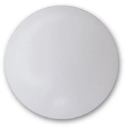 LED stropné svietidlo ALFA 290 LED/12W/230V