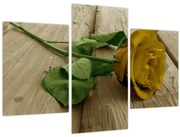 Obraz - Žltá ruža vintage (90x60 cm)