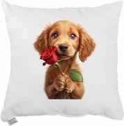 Dekoratívny vankúš Maxie 40x40 cm EMI