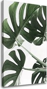 Obraz na plátne RASTLINY 009
