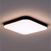 LED Stropné svietidlo NEMO LED/36W/230V 50x50 cm čierna
