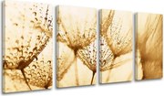 Obraz na stenu 4 dielny KVETY KV071E41 - 120x60 cm