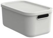 Rotho Úložný box, rovný s víkem, 12l, matně bílá ALBU LIGHT, 40x24x18 cm