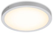 Briloner 7143-014 - LED Stropné svietidlo FIRE LED/24,5W/230V 3000K