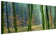 Obraz lesa (120x50 cm)