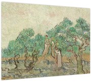 Obraz - Vincent van Gogh, The Olive Orchard, reprodukcia (70x50 cm)