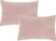 Dekoračné vankúše v súprave 2 ks 50x75 cm Attica Velvet – Bianca