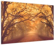 Obraz cesty v jesennej krajine (90x60 cm)