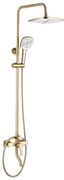 REA-P7841 - Sprchová súprava s batériou ARGUS, brúsené zlato