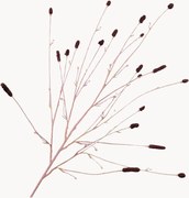 Ručne vyrobené rastlinné dekorácie Pimpernel, 3 ks