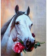 785428 NORIMPEX 5D Diamantová mozaika - Kôň s ružou