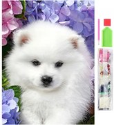 HUR DIAMANTOVÉ MALOVÁNÍ ŠPIC 5D 30X40CM