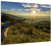 Obraz - Výhľad do okolia (70x50 cm)