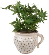 Béžový keramický obal na kvetináč s uchom a so srdiečkami Hearti M - 17*14*12cm