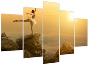 Obraz - Baletka na skale (150x105 cm)