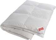 XXXLutz PÁPEROVÁ PRIKRÝVKA, 140/200 cm, perie, páperie Hefel Textil - Prikrývky & vankúše - 004636004601