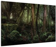 Obraz - Tajomný les (90x60 cm)