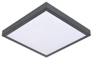 BOWI Stropné svietidlo VITAL 2xE27/60W/230V antracit BW0108