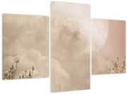 Obraz - Ružový spln (90x60 cm)