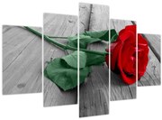 Obraz - Červená ruža so zelenou stonkou (150x105 cm)