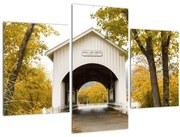 Obraz mosta v Oregone (90x60 cm)