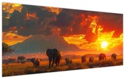 Obraz - Stádo slonov (120x50 cm)