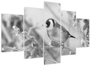 Obraz - Vtáčik v zime (150x105 cm)