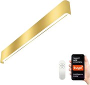 Immax NEO 07137-G - LED SMART Stmievateľné svietidlo LINEA LED/40W/230V + DO 76 cm