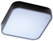 Azzardo AZ4147 - Kúpeľňové stropné svietidlo LUCIE 3xE27/20W/230V IP44