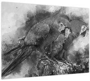 Obraz - Akvareloví papagáje (70x50 cm)